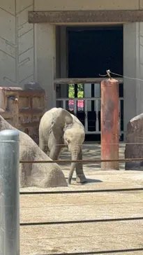 広島市安佐動物公園に投稿された画像（2026/5/5）