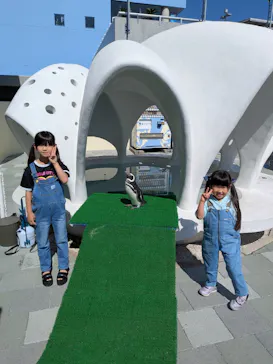 大分マリーンパレス水族館 「うみたまご」に投稿された画像（2026/5/5）