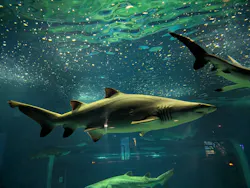 アクアワールド茨城県大洗水族館に投稿された画像（2026/5/5）