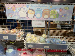 アクアワールド茨城県大洗水族館に投稿された画像（2026/5/5）