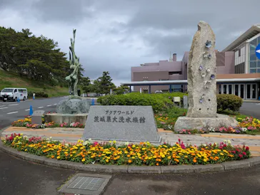 アクアワールド茨城県大洗水族館に投稿された画像（2026/5/5）