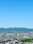 京都水族館×ニデック京都タワーに投稿された画像（2026/5/6）