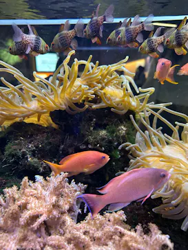 京都水族館×ニデック京都タワーに投稿された画像（2026/5/5）