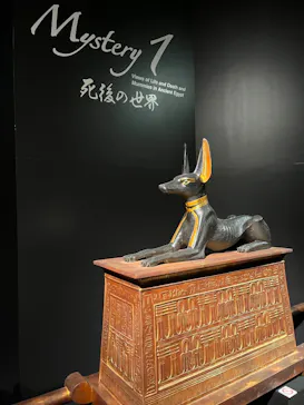 MYSTERY OF TUTANKHAMEN 体感型古代エジプト展に投稿された画像（2026/5/5）