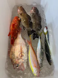 SUNNY FISHING（サニーフィッシング）に投稿された画像（2026/5/5）