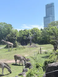 天王寺動物園に投稿された画像（2026/5/5）