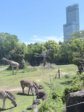 天王寺動物園に投稿された画像（2026/5/5）