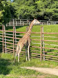 千葉市動物公園に投稿された画像（2026/5/6）