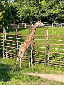 千葉市動物公園に投稿された画像（2026/5/5）
