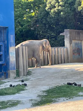 千葉市動物公園に投稿された画像（2026/5/5）