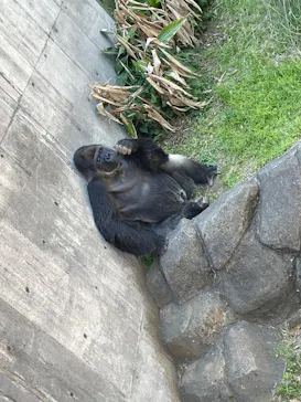 千葉市動物公園に投稿された画像（2026/5/5）