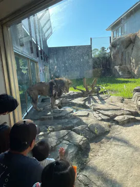 千葉市動物公園に投稿された画像（2026/5/5）