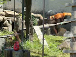 天王寺動物園に投稿された画像（2026/5/6）