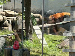 天王寺動物園に投稿された画像（2026/5/5）