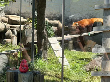 天王寺動物園に投稿された画像（2026/5/5）