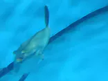 アクアワールド茨城県大洗水族館に投稿された画像（2026/5/6）
