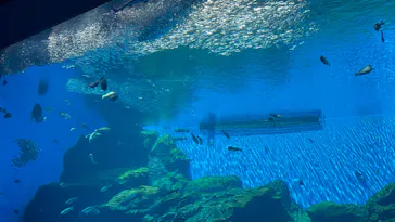 仙台うみの杜水族館に投稿された画像（2026/5/5）