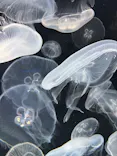 仙台うみの杜水族館に投稿された画像（2026/5/6）