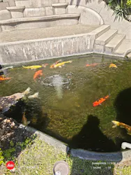 鳩山会館に投稿された画像（2026/5/6）