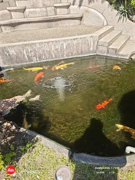鳩山会館に投稿された画像（2026/5/6）