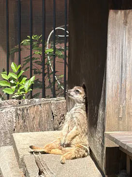 恩賜上野動物園に投稿された画像（2026/5/6）