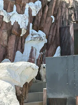 恩賜上野動物園に投稿された画像（2026/5/6）