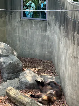 恩賜上野動物園に投稿された画像（2026/5/6）