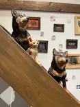 はしもとみお木彫展 いきものたちとの旅（氷見市芸術文化館）に投稿された画像（2026/5/6）