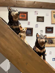 はしもとみお木彫展 いきものたちとの旅（氷見市芸術文化館）に投稿された画像（2026/5/6）