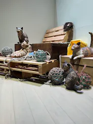 はしもとみお木彫展 いきものたちとの旅（氷見市芸術文化館）に投稿された画像（2026/5/6）