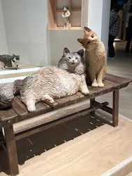 はしもとみお木彫展 いきものたちとの旅（氷見市芸術文化館）に投稿された画像（2026/5/6）