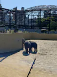 天王寺動物園に投稿された画像（2026/5/6）