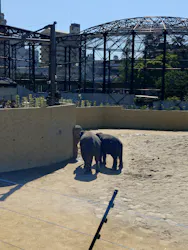 天王寺動物園に投稿された画像（2026/5/6）