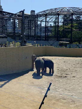 天王寺動物園に投稿された画像（2026/5/6）
