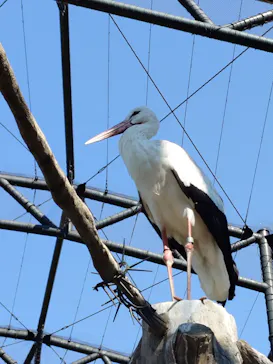 天王寺動物園に投稿された画像（2026/5/6）
