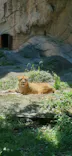名古屋市東山動植物園に投稿された画像（2026/5/6）
