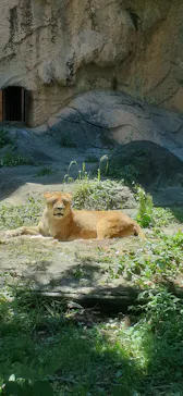 名古屋市東山動植物園に投稿された画像（2026/5/6）