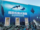 越前松島水族館に投稿された画像（2026/5/6）