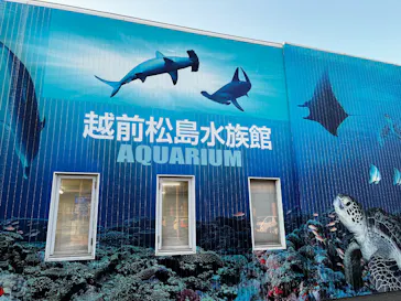 越前松島水族館に投稿された画像（2026/5/6）
