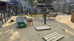 天王寺動物園に投稿された画像（2026/5/6）