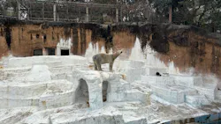 天王寺動物園に投稿された画像（2026/5/6）