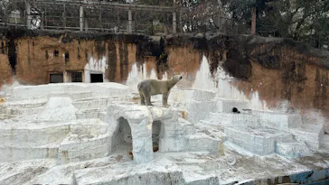 天王寺動物園に投稿された画像（2026/5/6）