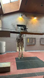 天王寺動物園に投稿された画像（2026/5/6）