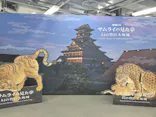サムライの見た夢　～幻の豊臣大坂城～に投稿された画像（2026/5/6）