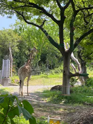 天王寺動物園に投稿された画像（2026/5/6）