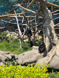 天王寺動物園に投稿された画像（2026/5/6）