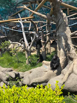 天王寺動物園に投稿された画像（2026/5/6）
