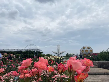 万博記念公園に投稿された画像（2026/5/6）