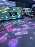 のとじま水族館に投稿された画像（2026/5/6）