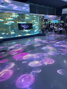 のとじま水族館に投稿された画像（2026/5/6）
